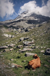 View of high mountain pasture