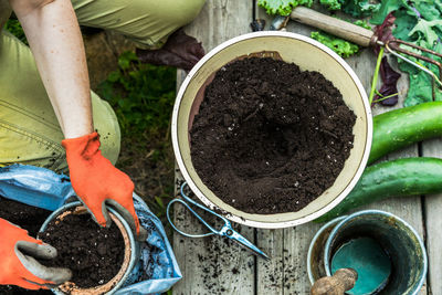 Midsection of person holding ice cream on potted plant