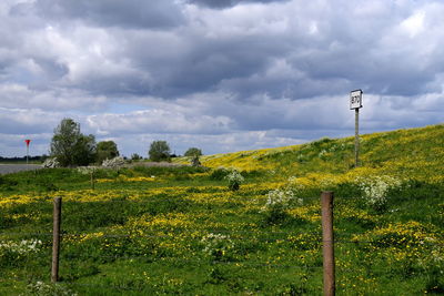 Scenic view of field against cloudy sky