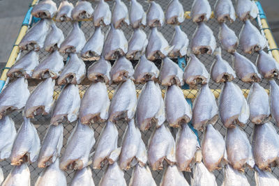 Close-up of fish for sale in market