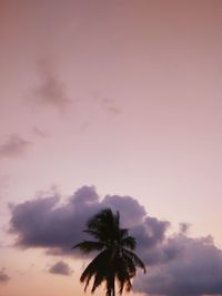 Low angle view of silhouette coconut palm tree against sky