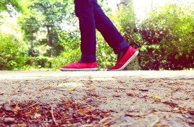 Low section of woman in park