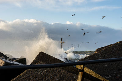 Birds flying over sea against sky