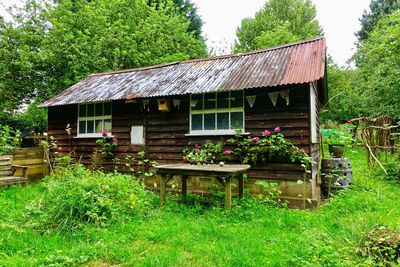 House and plants on field against building