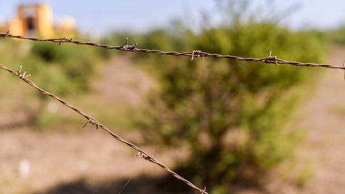 Close-up of barbed wire on fence