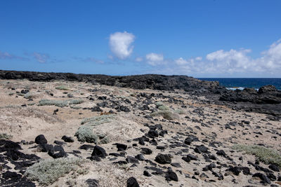 Scenic view of rocky shore and sea against sky