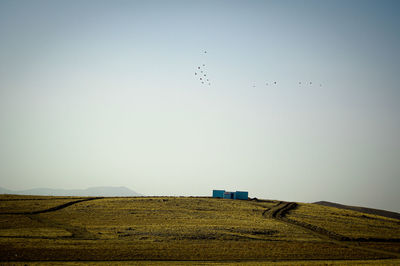 Scenic view of field against clear sky