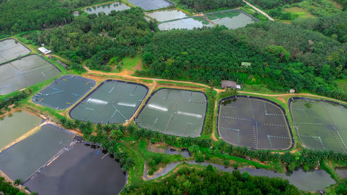 High angle view of road amidst trees