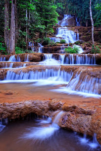 Scenic view of waterfall in forest