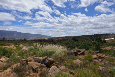 Scenic view of field against sky