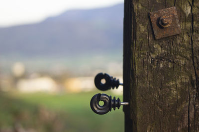 Close-up of rusty metal on wood