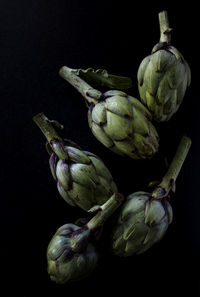 High angle view of vegetables on black background