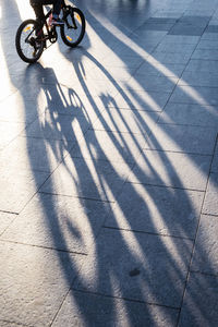 Shadow of man on bicycle