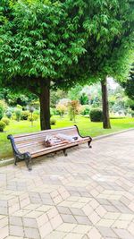 Empty bench in park