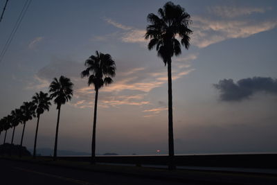 Silhouette palm trees against sky at sunset