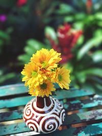 Close-up of flowers against blurred background