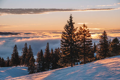 Snow covered land against sky during sunset