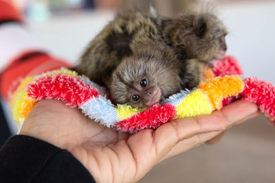 Midsection of person holding hands