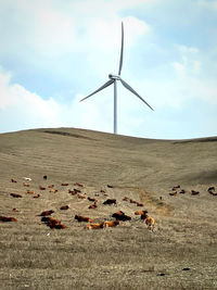 Windmill on field against sky