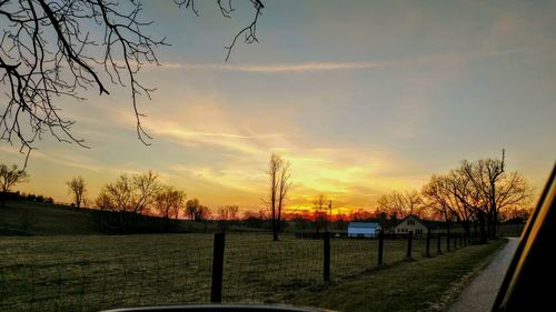 Silhouette bare trees on field against sky at sunset