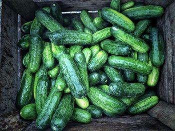 High angle view of vegetables