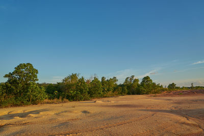 Scenic view of field against clear blue sky