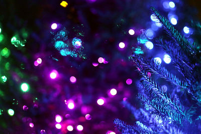 Defocused image of illuminated christmas tree at night