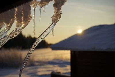 Close-up of icicles on roof during sunset