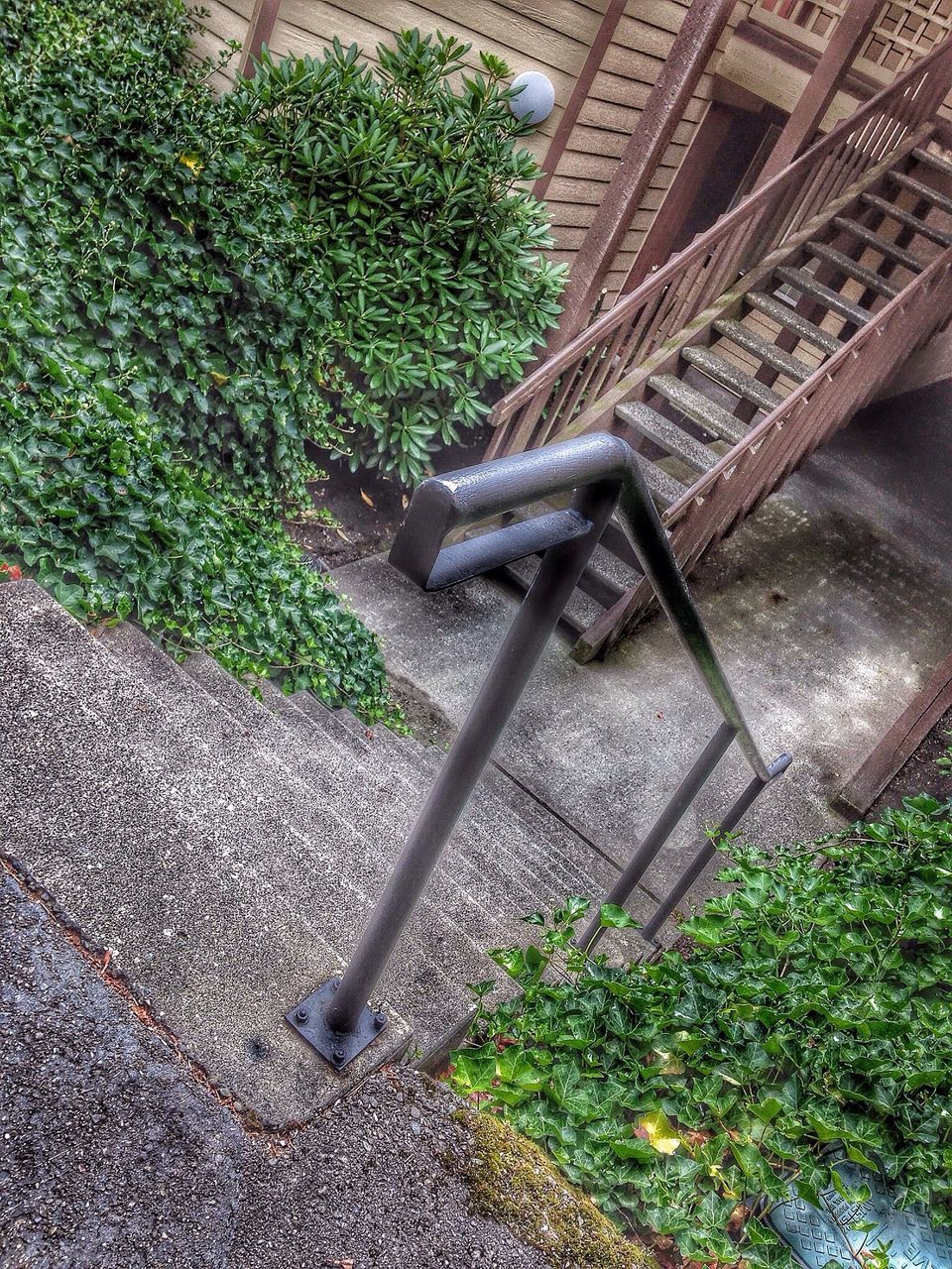 built structure, architecture, building exterior, plant, tree, growth, high angle view, green color, old, steps, abandoned, no people, day, outdoors, building, sunlight, steps and staircases, ivy, metal, staircase