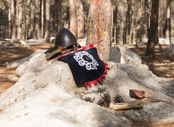 Clothes hanging on tree trunk