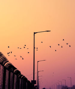 Low angle view of birds flying in sky