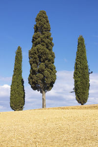 Val d'orcia in tuscany