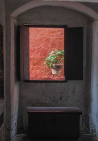 Close-up of potted plant on window of building