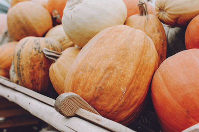 Close-up of pumpkins for sale at market stall