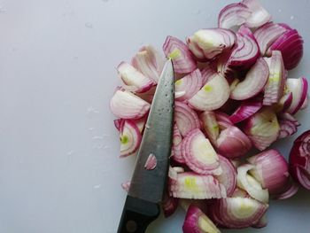 High angle view of vegetables