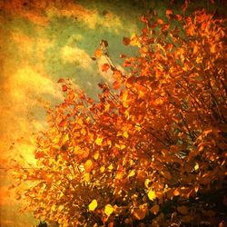 Autumnal leaves on tree trunk