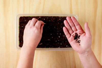 Cropped hands of person holding cutting board