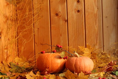 View of pumpkins in autumn