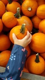 Cropped image of child picking pumpkin at market stall