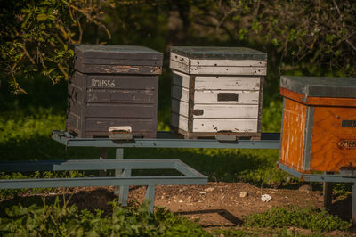 High angle view of bees on field