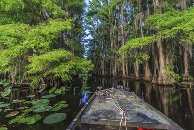 Scenic view of lake in forest