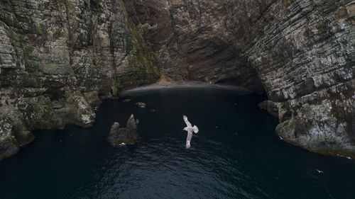 Man swimming in sea