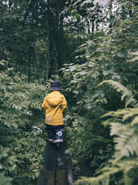 Rear view of man standing by trees in forest