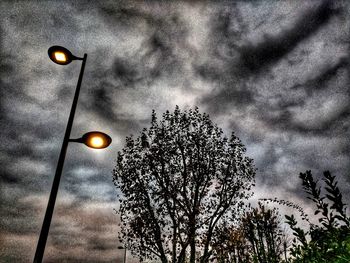 Low angle view of tree against sky