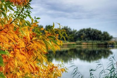 Scenic view of lake against sky