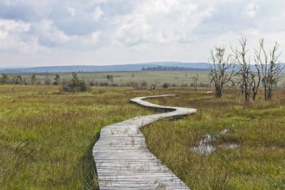 Scenic view of landscape against sky