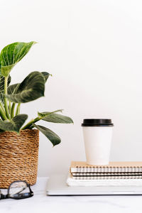 Close-up of potted plant on table