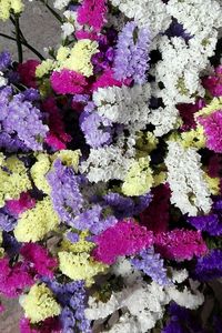 Full frame shot of purple flowers