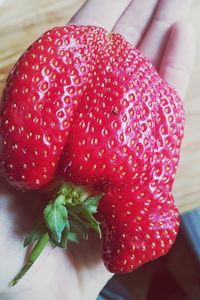 Close-up of strawberries