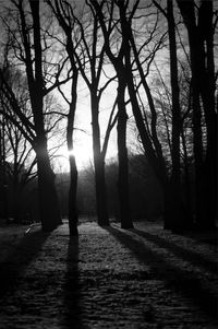 Silhouette bare trees on landscape against sky at sunset